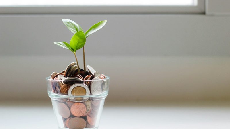 quels sont les avantages des plans d’épargne automatique et comment en bénéficier